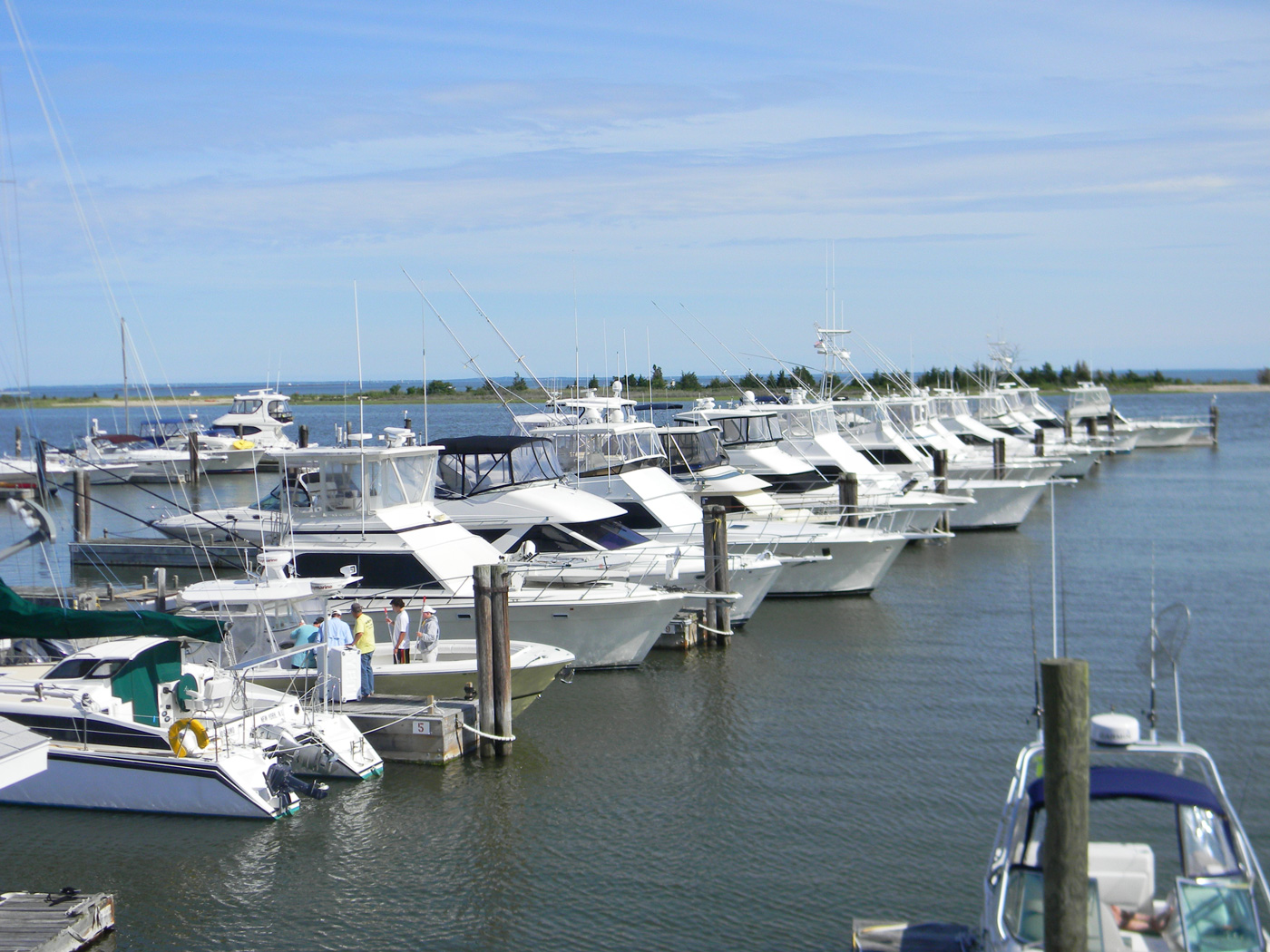 Large Yachts at Cedar Island Marina